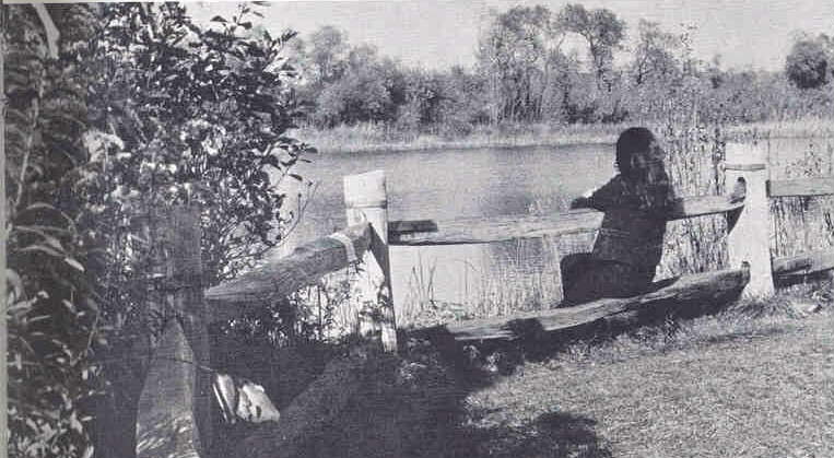 Lynda Willer enjoying the tranquility near the pond